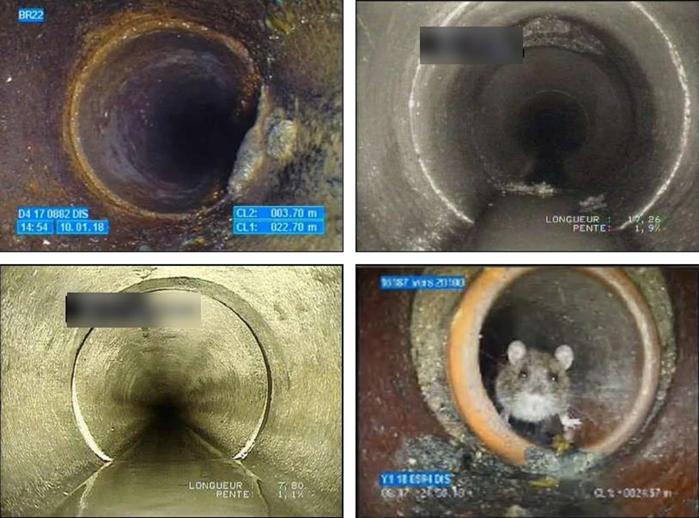 Four camera images from inside sewer pipes: settled deposits, a pipe connection, a displaced joint, and a rat